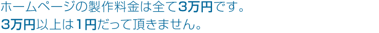 ホームページの作成料金は3万円です。